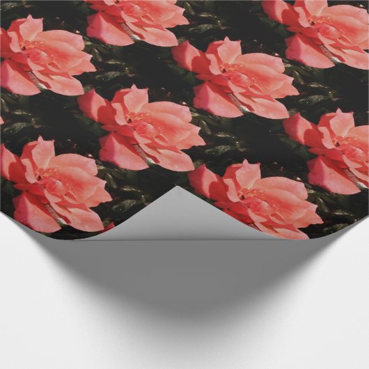  Peach Roze roze bloem Cadeaupapier (Hoek)