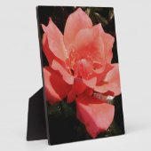 Peach Roze roze bloem Fotoplaat (Zijkant)