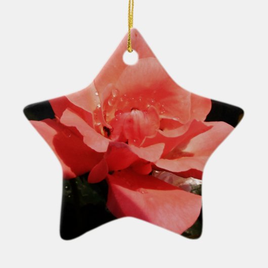 Peach Roze roze bloem Keramisch Ornament (Voorkant)