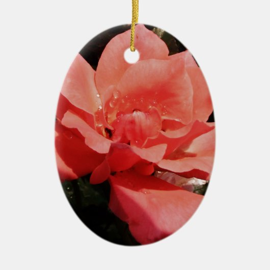  Peach Roze roze bloem Keramisch Ornament (Voorkant)