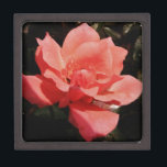 Peach Roze roze bloem Premium Cadeau Doosje<br><div class="desc">Peach roze Roze mooie foto van een perachy roze roos van de kunstenaar Sandra Marie Closs . Voeg je eigen tekst, naam of monogram toe aan creëer het perfecte product voor elke keer. Wedding, feestfeest, sympathie, verjaardag, baby shower, een feest of gewoon om je dag wat mooier te maken. bloem,...</div>