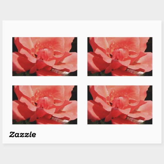  Peach Roze roze bloem Rechthoekige Sticker (Vel)