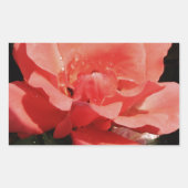  Peach Roze roze bloem Rechthoekige Sticker (Voorkant)