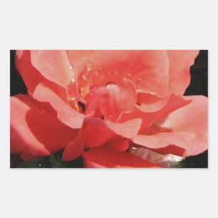  Peach Roze roze bloem Rechthoekige Sticker