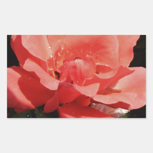  Peach Roze roze bloem Rechthoekige Sticker (Voorkant)