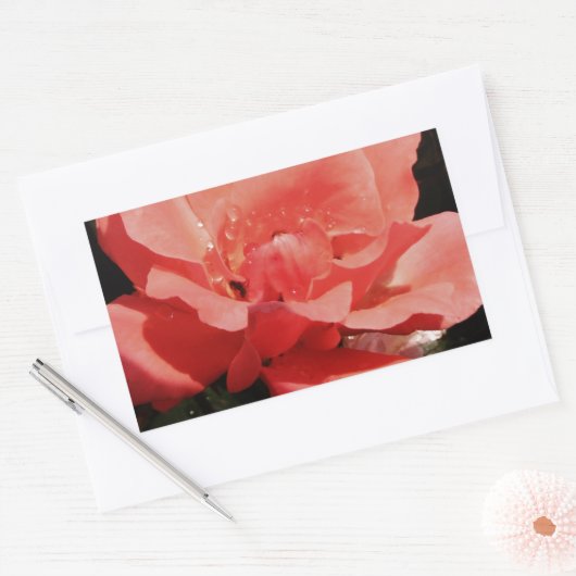 Peach Roze roze bloem Rechthoekige Sticker (Envelop)