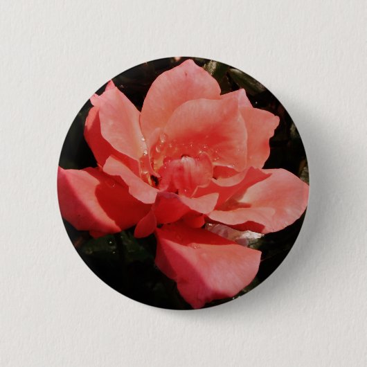 Peach Roze roze bloem Ronde Button 5,7 Cm (Voorkant)