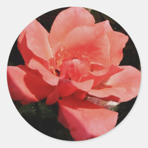  Peach Roze roze bloem Ronde Sticker