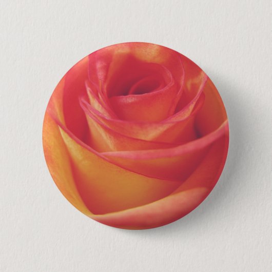 Peach roze roze bloom  stijlfoto ronde button 5,7 cm (Voorkant)