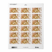 Peach, roze, wit en de achtergrond van Cream Dahli Etiket (Full Sheet)