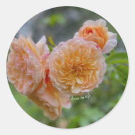 Peach Rozen Sticker