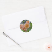 Peach Rozen Sticker (Envelop)