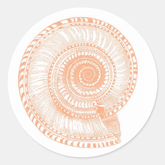 Peach Seashell Sticker (Voorkant)