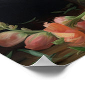 Peach Snapdragon Flowers Art Print Poster (Hoek)