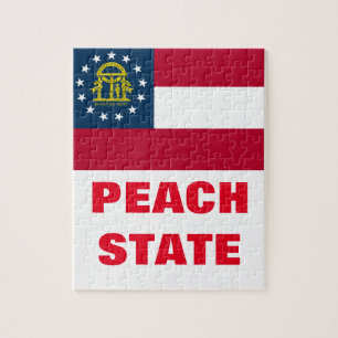 PEACH STAAT LEGPUZZEL