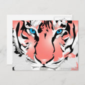 PEACH TIGER BRIEFKAART (Voorkant / Achterkant)