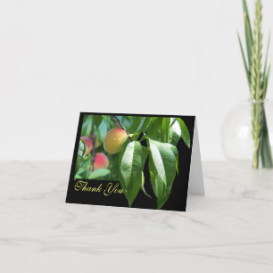 Peach Tree Dank je wel Bedankkaart