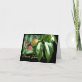 Peach Tree Dank je wel Bedankkaart (Voorkant)