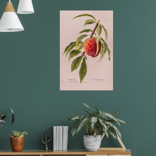 Peach twig (Prunus persica) van Royal Charles Stea Poster (Woonkamer 1)