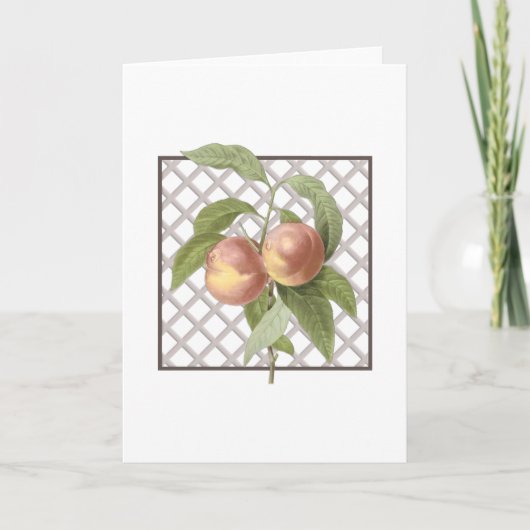PEACHES BEDANKKAART (Voorkant)