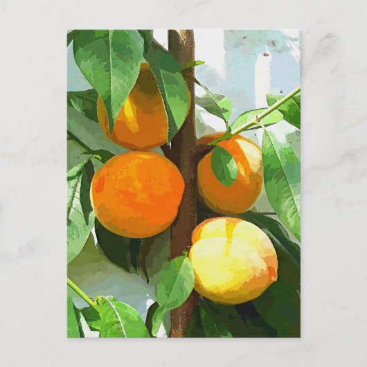 PEACHES BRIEFKAART (Voorkant)