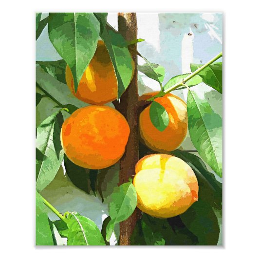 PEACHES FOTO AFDRUK (Voorkant)