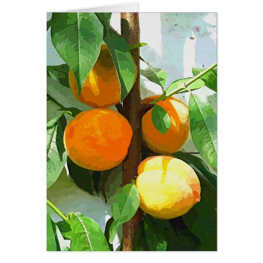 PEACHES-Kaart (Voorkant)