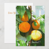 PEACHES KAART (Voorkant / Achterkant)