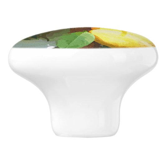 PEACHES KERAMISCHE KNOP (Zijkant)