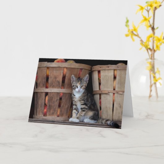 Peaches Kitten Happy Moederdag Kaart (Gele Bloem)