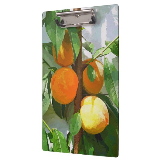 PEACHES KLEMBORD (Links)