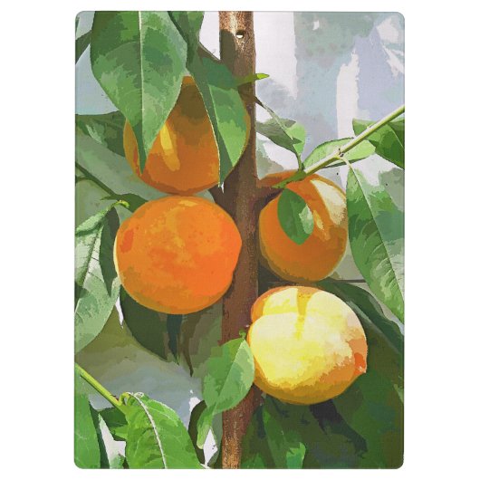 PEACHES KLEMBORD (Achterkant)