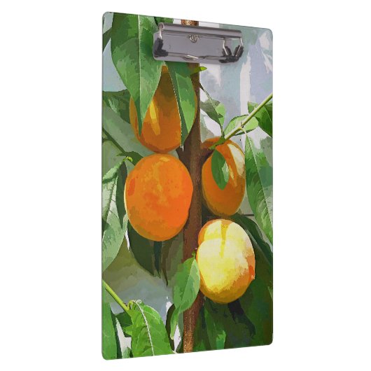 PEACHES KLEMBORD (Rechts)