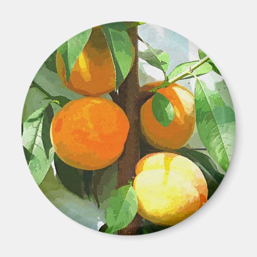 PEACHES MAGNEET (Voorkant)