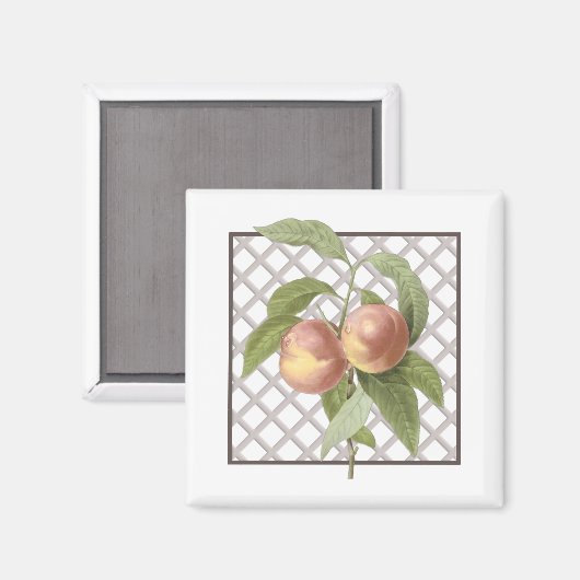PEACHES MAGNEET (Voorkant / Achterkant)
