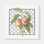 PEACHES MAGNEET (Voorkant)