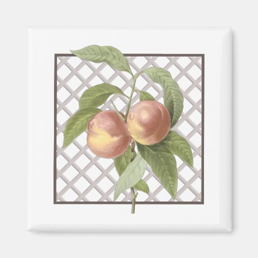 PEACHES MAGNEET (Voorkant)