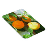 PEACHES MAGNEET (Rechterzijde)