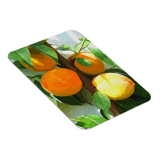 PEACHES MAGNEET (Rechterzijde)