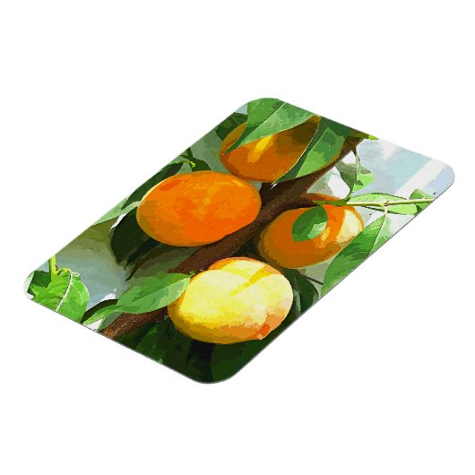 PEACHES MAGNEET (Linkerzijde)