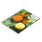 PEACHES NOTITIEBOEK (Linkerzijde)