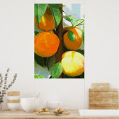 PEACHES POSTER (Keuken)