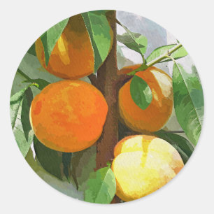 PEACHES RONDE STICKER