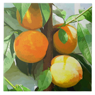 PEACHES TEGELTJE