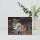 PEACHES The Cute Shih Tzu Briefkaart (Staand voorkant)