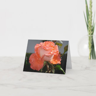 Peachrose Kaart