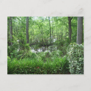 "PEACHTREE CITY, GA" BRIEFKAART