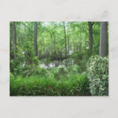 "PEACHTREE CITY, GA" BRIEFKAART (Voorkant)