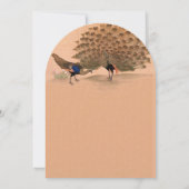 Peachy Coral Peacock Wedding Invitations Kaart (Achterkant)