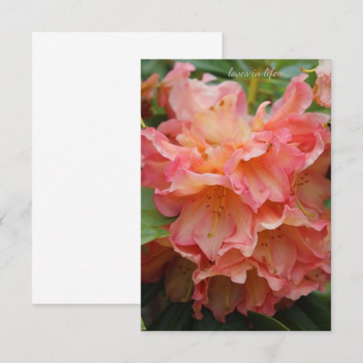 Peachy gekleurde rododendron notitiekaartje (Voorkant / Achterkant)